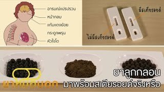 ยาหมอบอก [by Mahidol] ยาลูกกลอนมาพร้อมกับสเตียรอยด์จริงหรือ - YouTube